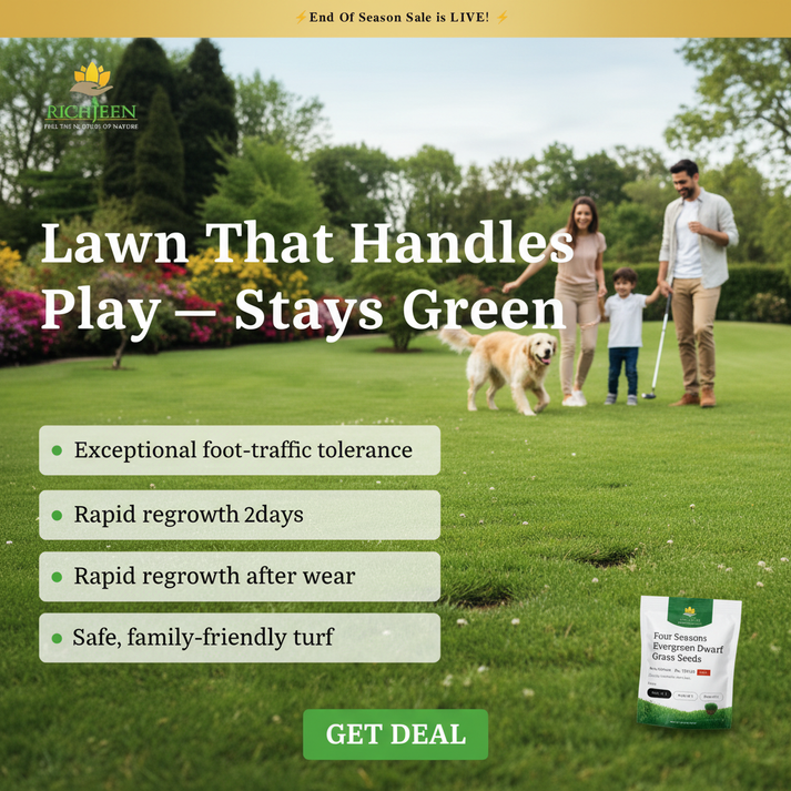 ALL SEASONS EVERGREEN GRASS SEEDS [BUY 1 GET 1 FREE]